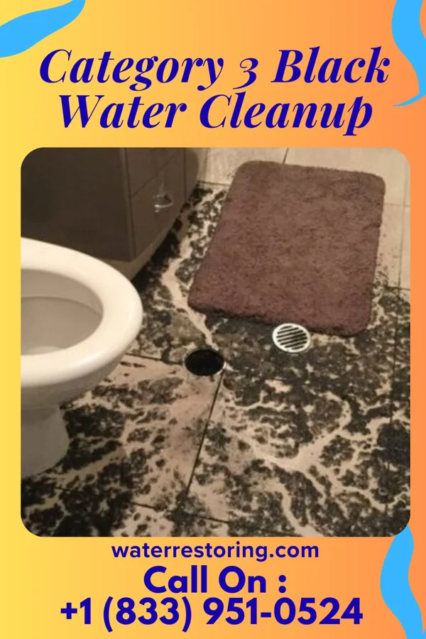 Category 3 Black Water Cleanup in Ipava, IL