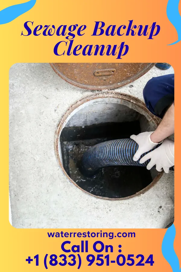 Sewage Backup Cleanup in Ipava, IL